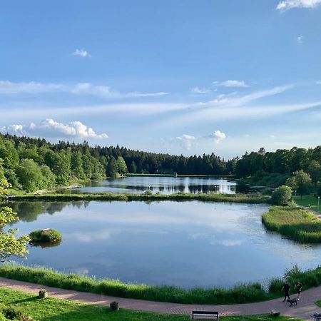 Apartment Seeblick Am Bocksberg - Hahnenklee "Vier Jahreszeiten" Γκόσλαρ Εξωτερικό φωτογραφία