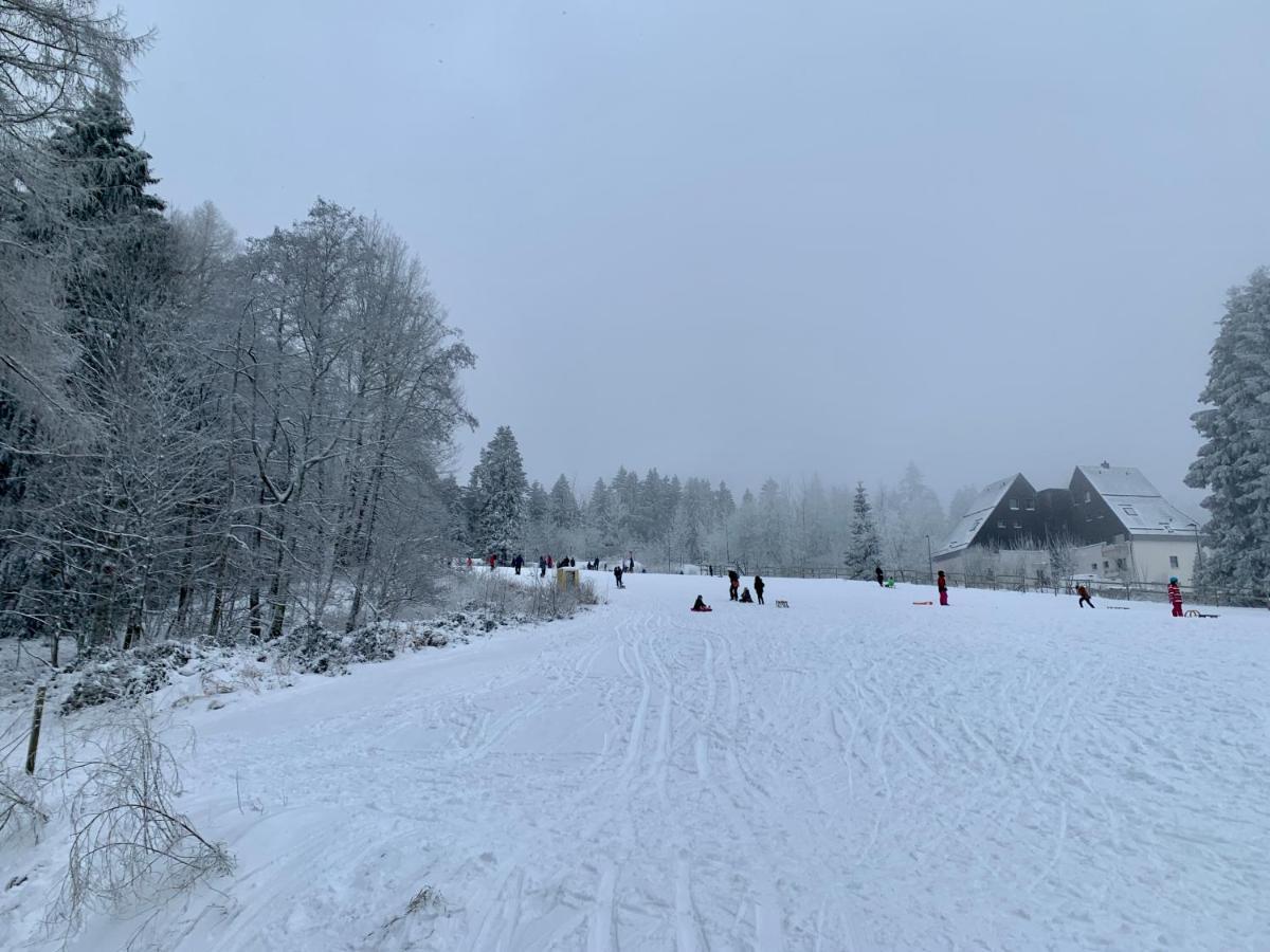 Apartment Seeblick Am Bocksberg - Hahnenklee "Vier Jahreszeiten" Γκόσλαρ Εξωτερικό φωτογραφία