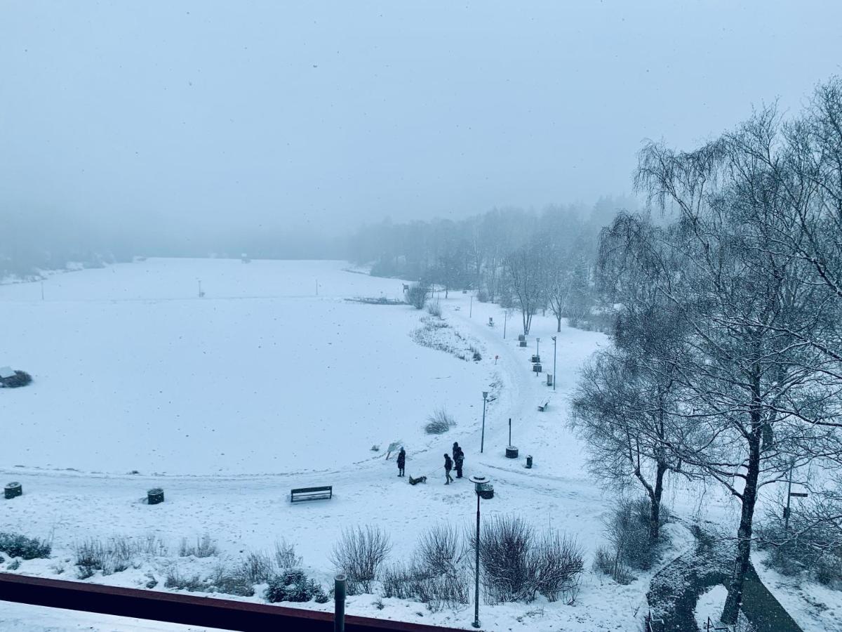 Apartment Seeblick Am Bocksberg - Hahnenklee "Vier Jahreszeiten" Γκόσλαρ Εξωτερικό φωτογραφία